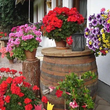 Wiederkehr Ramsau am Dachstein