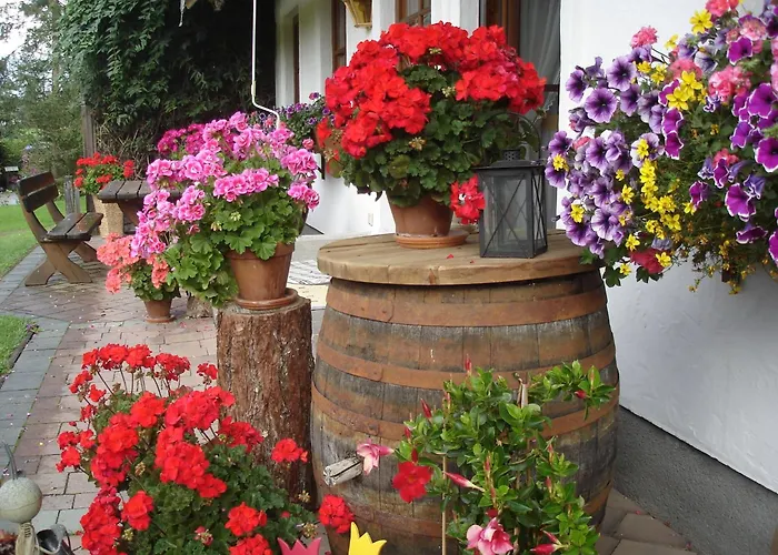 Wiederkehr Ramsau am Dachstein